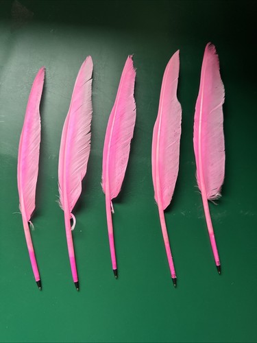 Feather quill pens - feather, biro