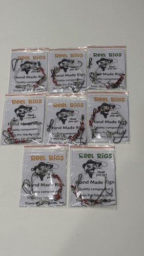 Sea fishing shore rigs - sea,