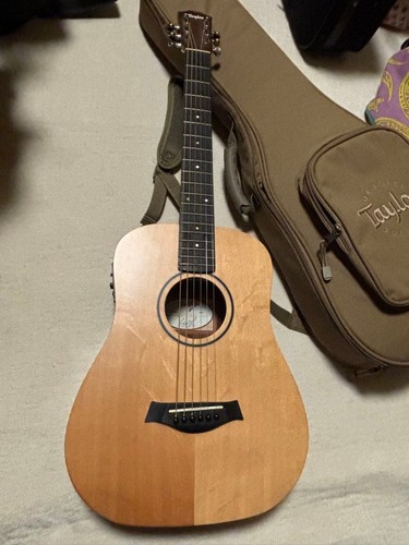 Taylor baby - taylor, bt1e