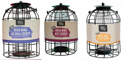 Bird feeder seed squirrel - bird,
