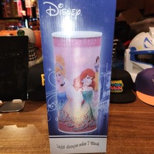 NEW Walt Disney Princesses