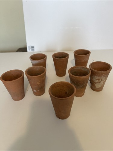 Vintage terracotta plant - vintage,