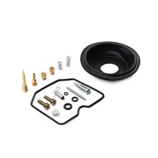 Carburetor Repair Rebuild Kit