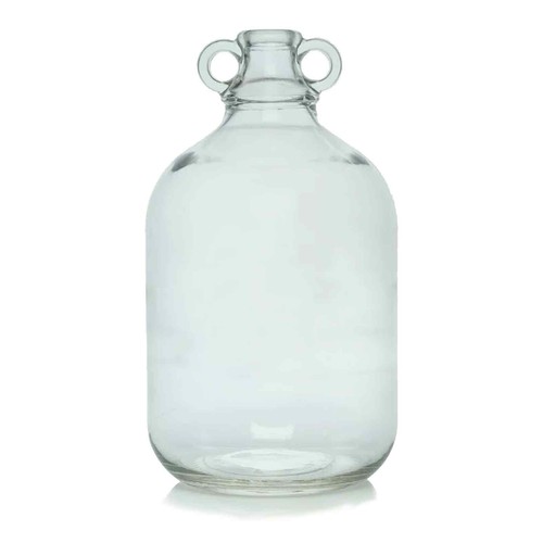 Litre demijohn clear - clear, green