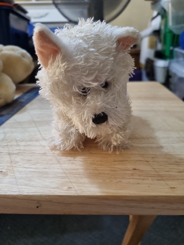 Puppy pals west highland white - puppy,