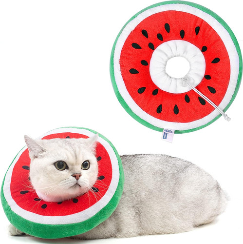Adjustable cat cone - adjustable, collar