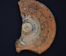 Vintage Garden: Partial Antique Terracotta Rhubarb Forcer Lid | Old Reclaimed