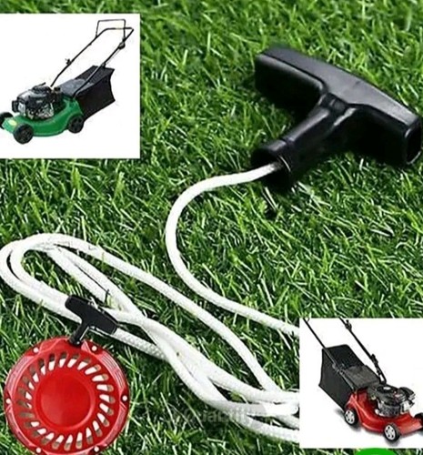 Petrol engine chainsaw - engine,