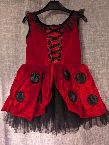 Ladybug fancy dress costume - fancy,