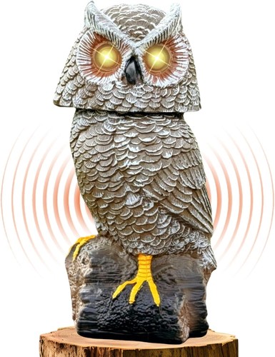 Solar power garden owl with - power,