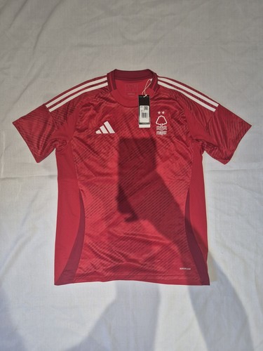 Nottingham forest home - nottingham,