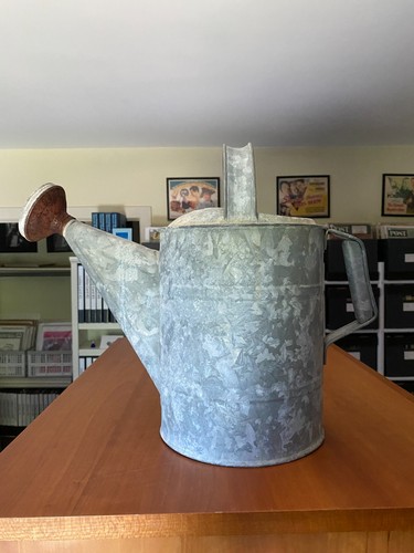 Vintage 18 galvanized - vintage,
