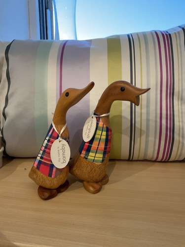 Dcuk the duck company - dcuk,