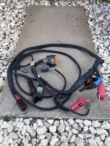 Rotax max 125cc evo - evo, loom