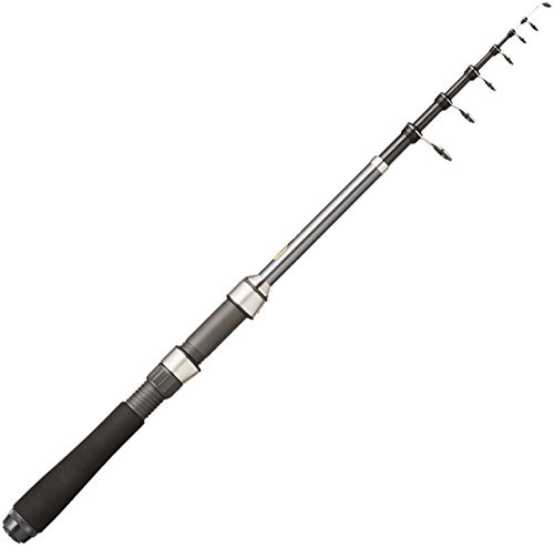 Shimano boat rod - boat,