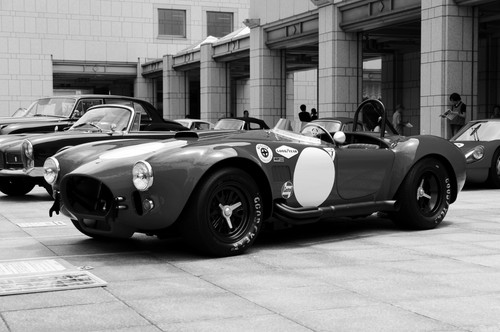 Cobra 427 car - ac, show