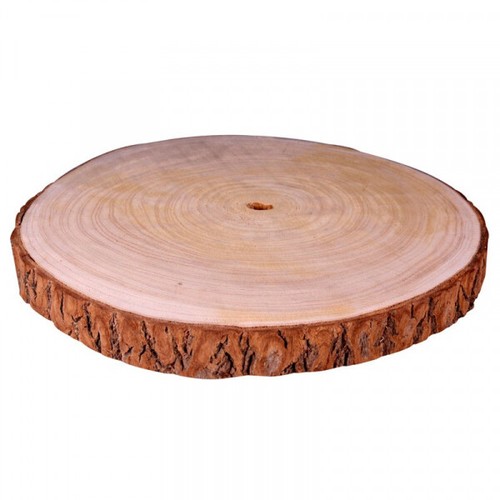 Natural wood log slice - log, tree