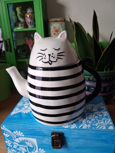 Black and white - and, cat