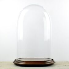 EMH Mouth Blown Oval Glass Dome With Wooden Base 46 x 30 x 17cm