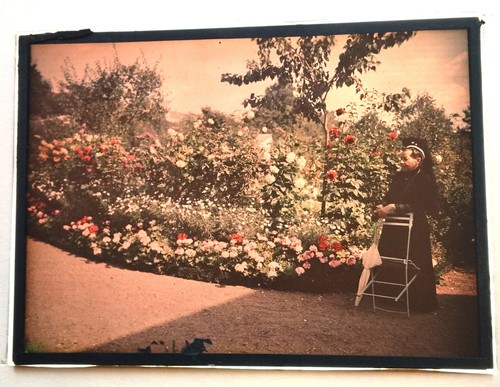 Autochrome circa 1910 garden - autochrome,