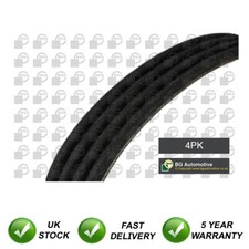 V Ribbed Drive Belt SJR Fits