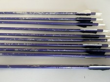 X10 Easton Arrows 1516 Lite
