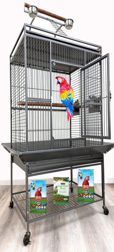 Large parrot bird perch - large,