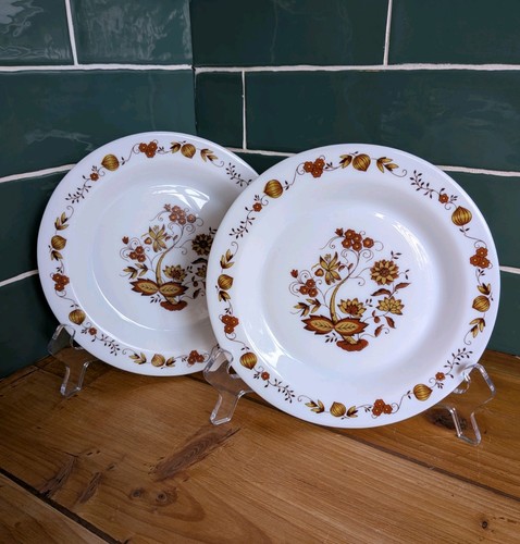 Vintage retro arcopal france - retro,