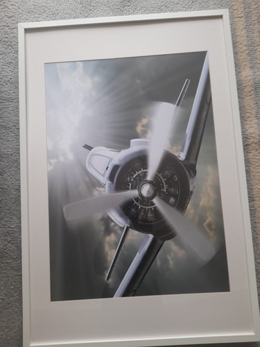 Aircraft propeller huge print - ,