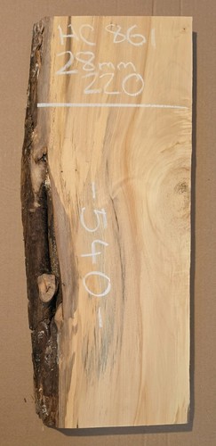 Spalted chestnut live edge - live,