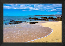 Coral Strand Framed Wall Art