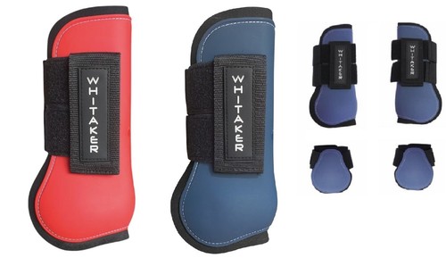 Whitaker skipton tendon - whitaker,