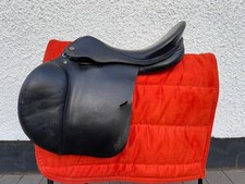 Appaloosa MW 17.5” (Prestige)