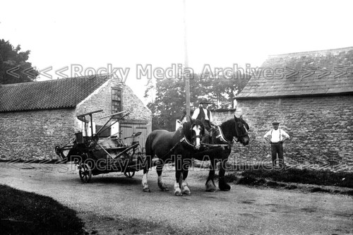 Yww horses and threshing - horses,