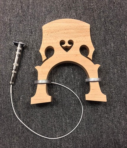Fishman full circle - circle, pickup