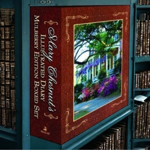 Mary chesnut illustrated - mary,