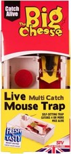 The Big Cheese Mouse Trap -
