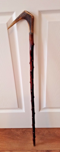 Stunning irish blackthorn - irish,