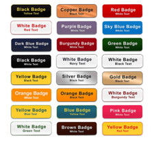 PIN Custom ID Engraved Name Badges Student Staff RGN Nurse Clinical Lead Work