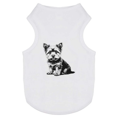 Cute yorkshire terrier - 'cute,