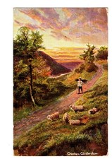 Gloucestershire. Cranham. Posted at Burton on Trent in 1907.