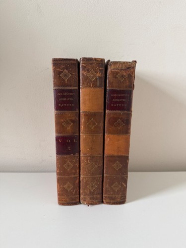 Oliver goldsmith history - oliver,