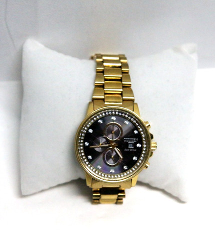 Citizen nighthawk eco - nighthawk,