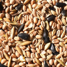 Wild Bird Food Seed Mix All Year Round Premium Grade Feed 12.55 25kg Leagrams