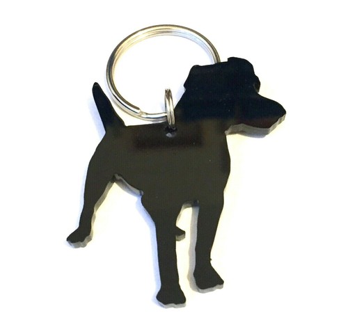 Patterdale terrier dog - ,