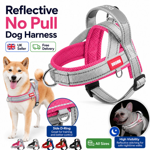 Reflective pull dog - reflective,