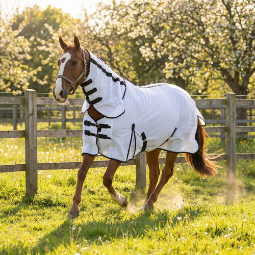 White zebra fly mesh - rug, for