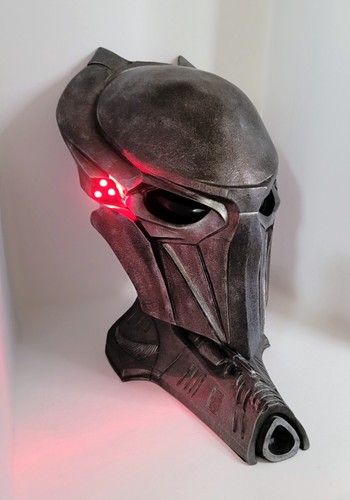 Rare predators falconer 1 - falconer, 1:1