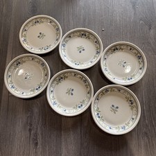 6 X Vintage Biltons Tea Side Bread plates blackberry vine 16.5cm