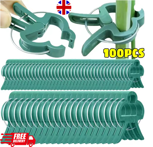 100 pcs garden plant - 100,
